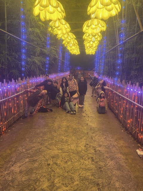 Illuminature Flowers Medium