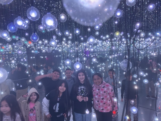 Illuminature Lights Medium