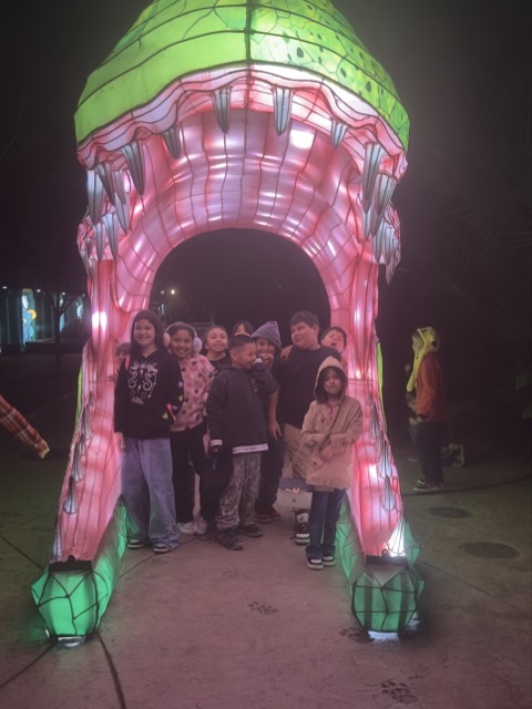 Illuminature Teeth Medium