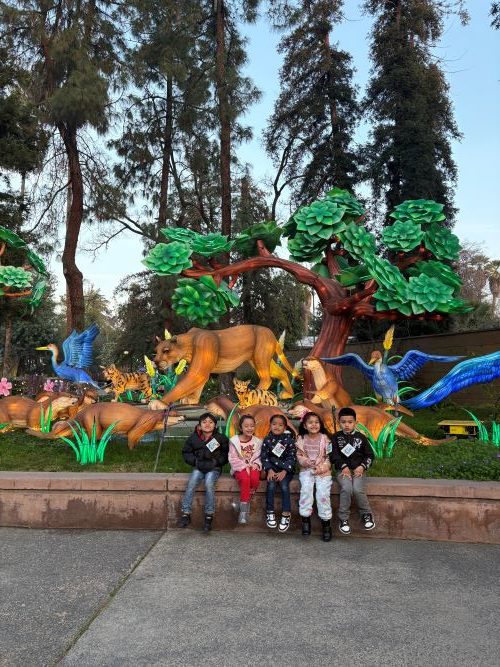 Illuminature Wes tigers