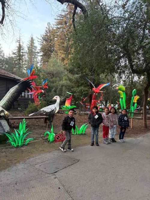Illuminature birds